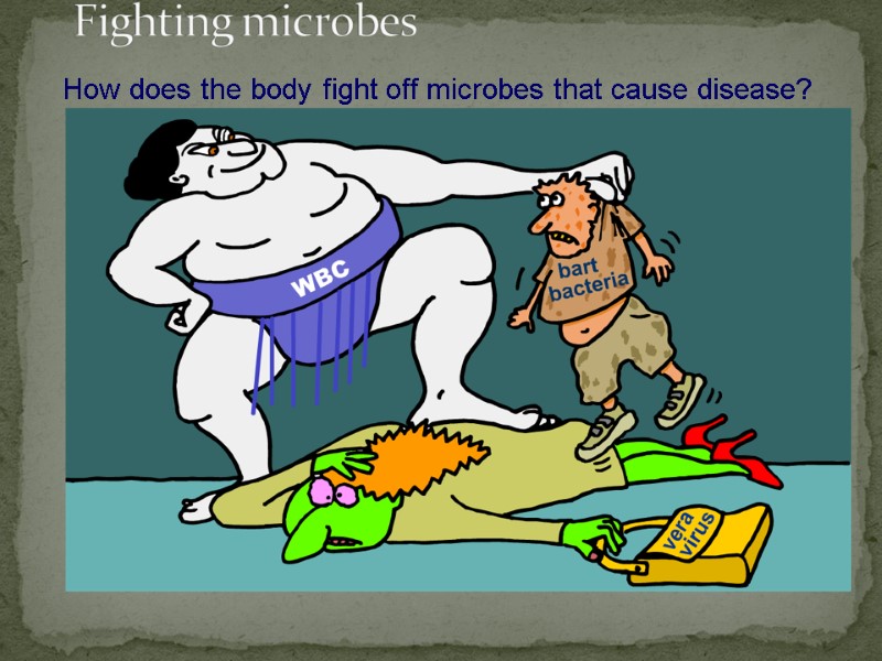 Fighting microbes How does the body fight off microbes that cause disease?